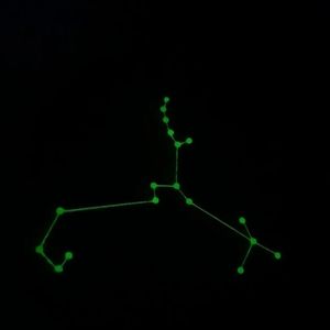 SAGITTARIUS The Archer Glow In The Dark CARD Stargo Game Replacement Piece